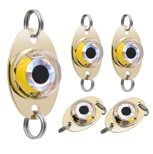 DunkTeam LED Fish Eye Underwater Fishing Lures 5-Pack
