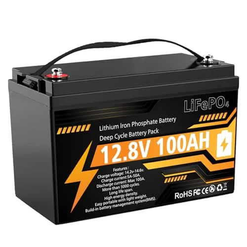 VEMDIA 12V 100Ah LiFePO4 Group 31 Deep Cycle Battery