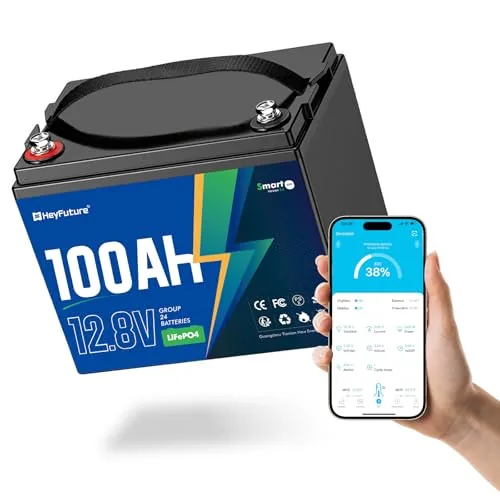 HeyFuture 12V 100Ah LiFePO4 Bluetooth Marine Battery