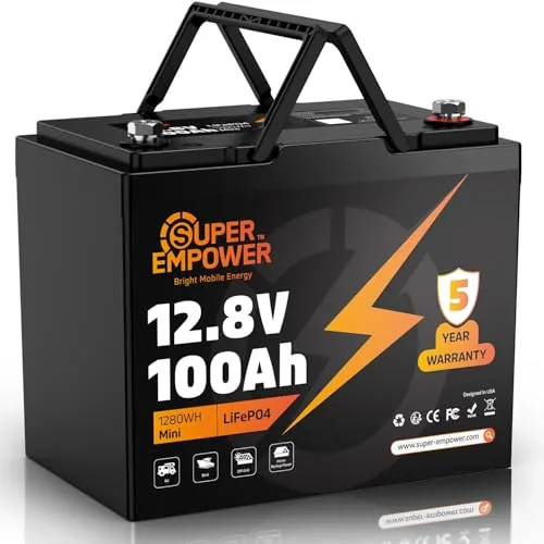 SUPER helps 12V 100Ah LiFePO4 Group 24 Battery