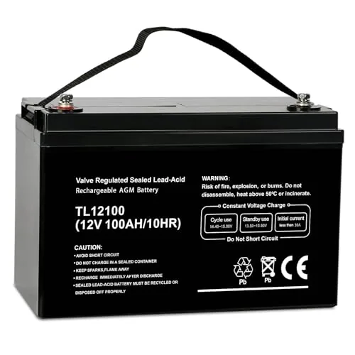 WEIZE 12V 100Ah AGM Deep Cycle Battery